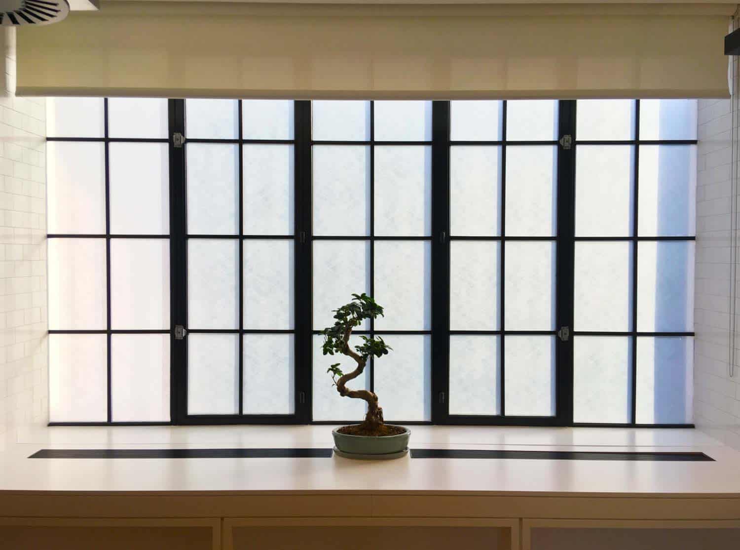 a bonsai tree on a windowsill in fromt of a japanese paper window